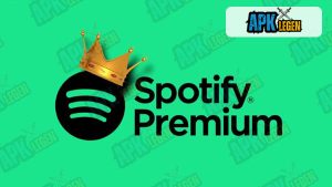 Spotify Premium 1