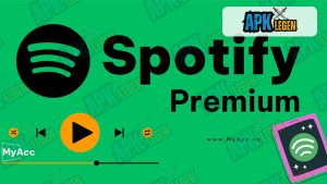 Spotify Premium 3